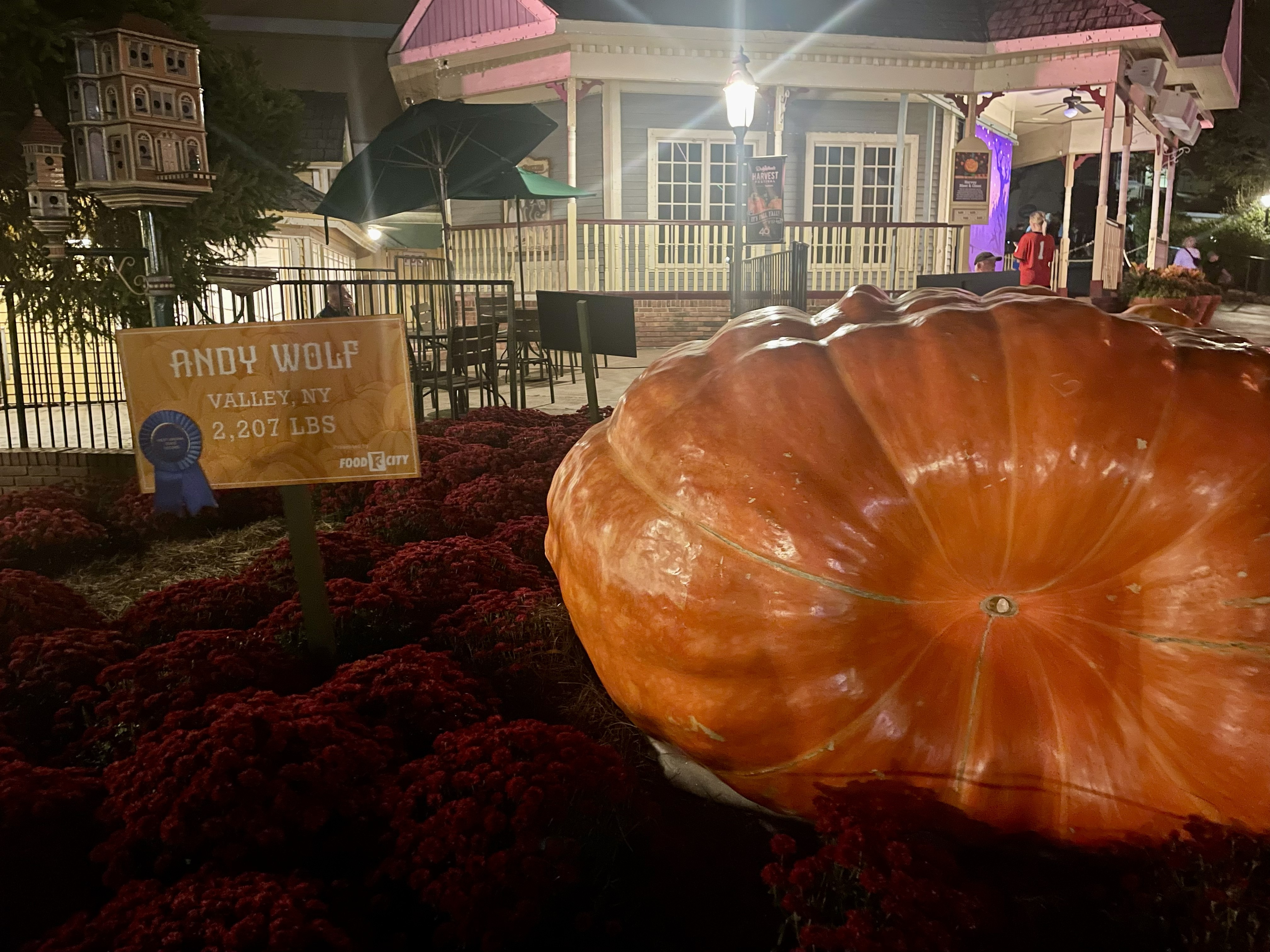 Dollywood Pumpkin Display 3